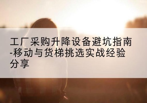 武城移动式升降机怎么选-工厂采购升降设备避坑指南-移动与货梯挑选实战经验分享
