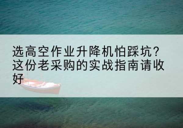 武城高空作业升降机厂家推荐-选高空作业升降机怕踩坑？这份老采购的实战指南请收好