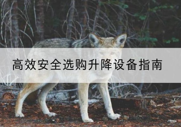 武城升降货梯厂家推荐-*安全选购升降设备指南