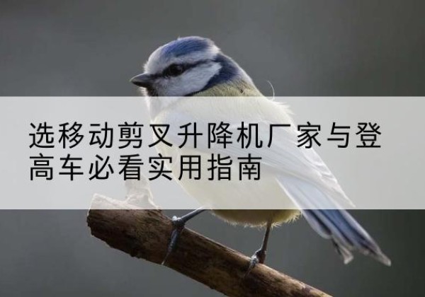 武城电动升降机厂家-选移动剪叉升降机厂家与登高车必看实用指南