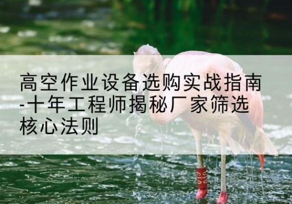 武城剪叉式升降机厂家-高空作业设备选购实战指南-十年工程师揭秘厂家筛选核心法则
