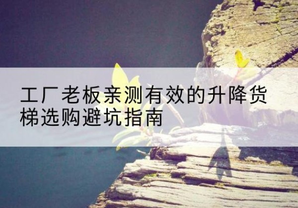 武城升降货梯怎么选-工厂老板亲测有效的升降货梯选购避坑指南